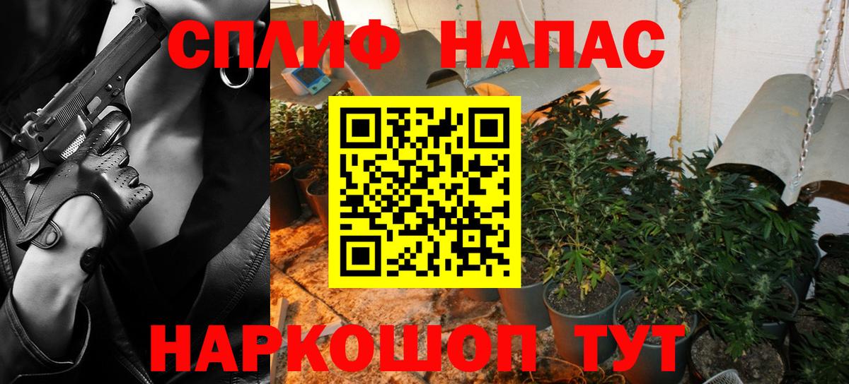 Бошки Шишки конопля Видное